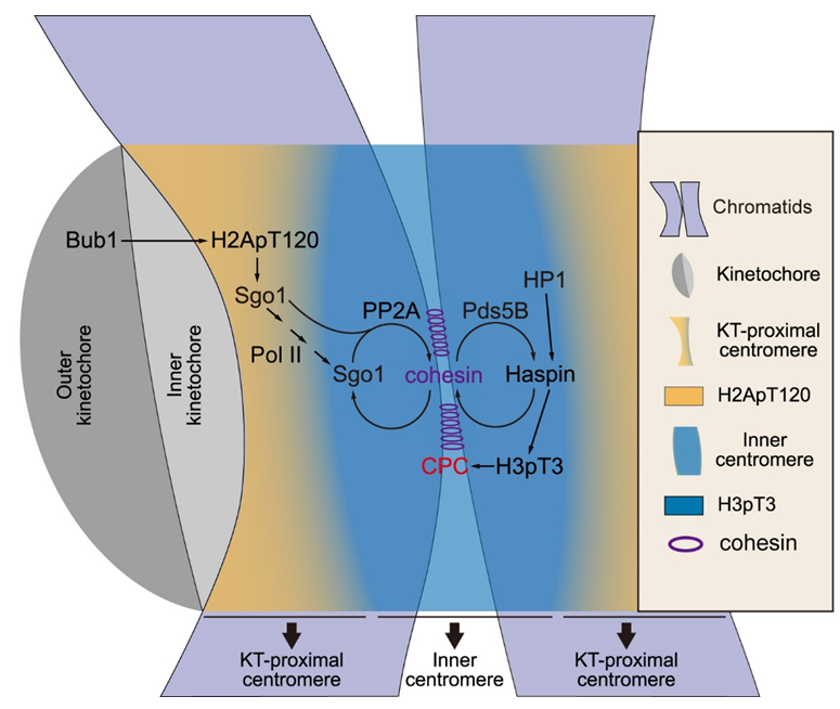 QQ截图20181130172126.png QQ截图20181130172126.png